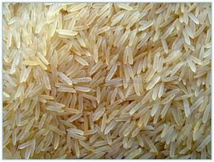 Riz Calrose, spécial flouraï, camisole - Product Image 2