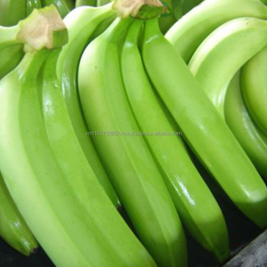 กล้วยสดอินทรีย์ในเวียดนาม - Product Image 3