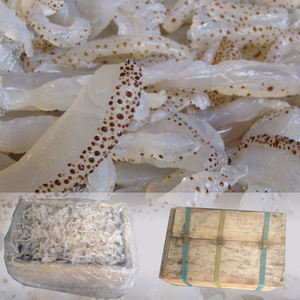 Bon prix pour poisson gelée salée-Vietnam - Product Image 5