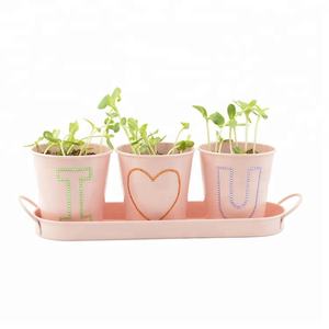 Terios-seau en métal galvanisé, avec plateau - Product Image 1