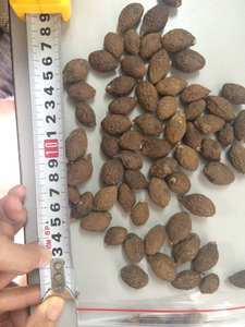 100% อินทรีย์ Malva อ่อนนุชที่มีคุณภาพสูงและราคาที่ดีที่สุด - Product Image 4