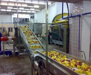 Manzanas recién frescas a la venta a granel/Exportadores de manzanas Fuji al por mayor a precio mayorista - Product Image 2