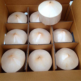 Noix de coco fraîche naturelle de qualité supérieure à vendre noix de coco en forme de diamant - Product Image 5