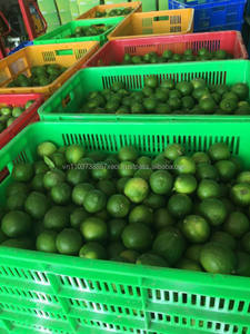 Citron frais vietnamien sans graines - Product Image 5