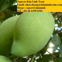 Premium Verse Zoete Mango Vietnam Gele Kleur Tropische Oem-Stijl Kleurgewicht Oorsprong Type Variëteit Hp: 0084 917 476 477