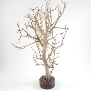 Sculpture de petit arbre tuyau d'arbre, accessoire d'aquarium unique - Product Image 5
