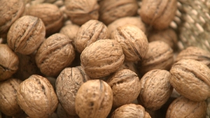 วอลนัทอบแห้งแบบครึ่งซีกพรีเมียมคุณภาพสูง แบบมีเปลือก 100% ธรรมชาติจากแอฟริกาใต้ ขายส่ง - Product Image 5