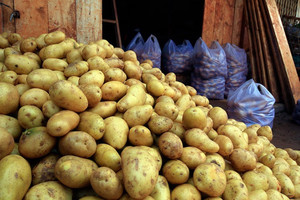 2018 Fournisseurs de pommes de terre fraîches de haute qualité au Vietnam 2020 - Product Image 3