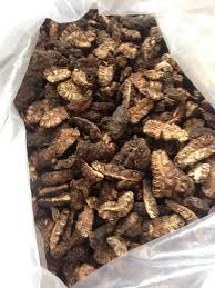 ขายส่งจากเวียดนาม โนนี่แห้ง ในราคาถูก - Product Image 5