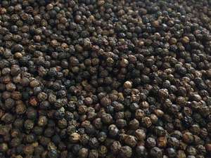 เกรด1แห้งพริกไทยดำเครื่องเทศเดียวสมุนไพรขาวและทำความสะอาดด้วย500G/L 550g/L 5mm และ600g/L เครื่อง FAQ 500G/Anna DO - Product Image 6