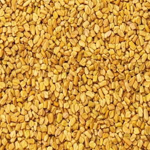 Best Price 99% Pure Organic Hygienic Fenugreek Seed Singapore Europe Quality Dried <b>Herb</b> Granule Pattern Quality <b>Spice</b> <b>Product</b> - Product Image 4