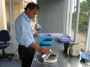 Pimienta Negra de Vietnam 500g/l 550g/l 570g/l 580 G/L 5mm Gruesa MEJOR CALIFICACIÓN 0084339966582 - Product Image 3