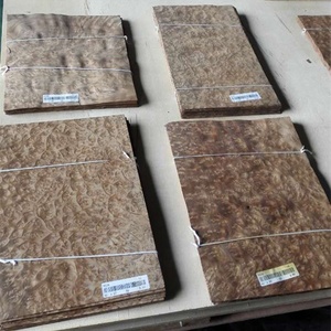 Placage en bois de camphrier doré pour la décoration d'hôtel - Product Image 4
