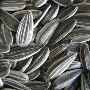 ดีสีขาวเมล็ดทานตะวันไม้จิ้มฟันสีขาวเมล็ดทานตะวัน - Product Image 1