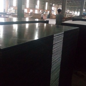 CONTREPLAQUÉ FILMÉ - Product Image 3