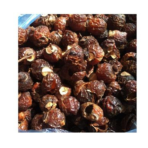 สบู่อ่อนนุช Sapindus Mukorossi ได้รับการรับรองอินทรีย์วันหยุด - Product Image 1