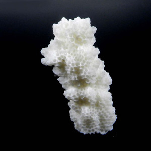 Cristal de Coral Blanco Natural, 46x21 mm, Fantasía, 44.25 Ct, Gema Suelta, Australia, Ishu Gems - Product Image 1