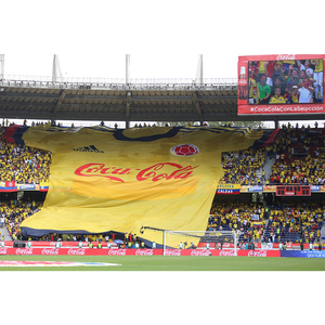 Custom Any Size Giant Crowd Tifo Calcio Banner <strong>Flag</strong> Printing - Product Image 2
