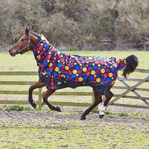 Couverture d'hiver de luxe pour cheval 600D avec col intégré, 300 GSM, imperméable, couverture de sortie en tissu Oxford, légère et respirante - Product Image 5