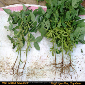 Organic & Eco- Friendly Fertilizer for Soyabean <b>Cultivation</b> Machine - Product Image 3