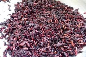 Arroz Negro - Arroz Violeta - Arroz Glutinoso - Product Image 4