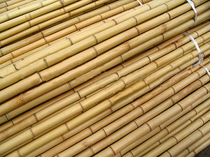 Poteaux en bambou naturel MOSO de vacances au vietnam - Product Image 2