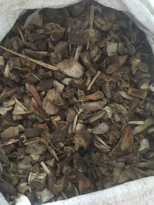 Gran Venta de Atún Bones - Product Image 3