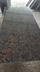 Đánh Bóng Hiện Đại Ấn Độ hổ vàng da <span class=keywords><strong>Granite</strong></span> tấm nhỏ - Product Image 4