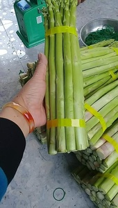 Vacances d'asperges vertes du vietnam - Product Image 6