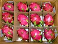 Vers Rood Wit Drakenfruit