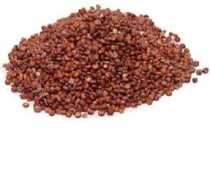 Frutas de Quinoa de la India, venta al por mayor - Product Image 3