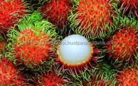 Verse Rambutan Van Vietnam Hoge Kwaliteit Beste Pice