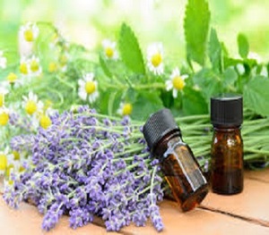 Pure Lavender Oil From India - Product Image 1
