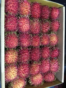 <b>Fresh</b> Rambutan <b>Fruit</b> Vietnam Best Quality - Product Image 2