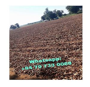 JOSS-Polvo de VIETNAM, producto en oferta - Product Image 2