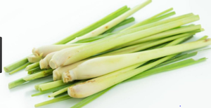 ตะไคร้ผง/ฝานตะไคร้ - Product Image 5