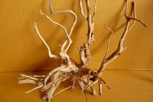 Raíz de árbol de acuario natural Tailandia - Product Image 5