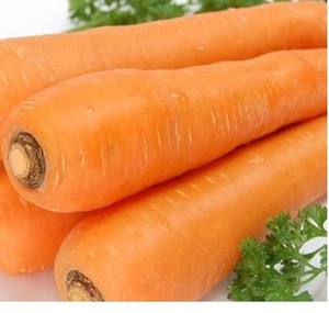 Carot con el mejor precio de Vietnam, 2022 - Product Image 1