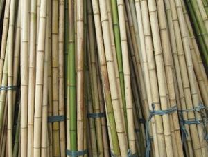 Poteaux/Tubes en bambou moins chers pour la fabrication de flûte - Product Image 4