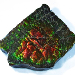 
 
 
 Ammolita Natural en Bruto, Piedras Preciosas Sueltas Sin Cortar para la Fabricación de Joyas - Venta al por Mayor Directa de Fábrica, Certificadas por Terceros, Multicolores - Product Image 2