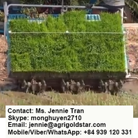 Transplanteur de riz KUBOTA 68C - Fabriqué en Thaïlande - Exportation mondiale - Prix le plus bas - Qualité supérieure - Moteur le plus puissant - En vente