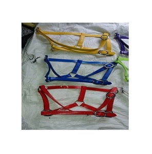 Meilleures offres pour Martingales de course de chevaux en PVC multicolore Fabriquées en Inde Western Riding Prix de gros disponibles - Product Image 2