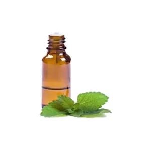 Pasokan pabrik minyak peppermint alami murni minyak aroma mint grosir minyak esensial peppermint