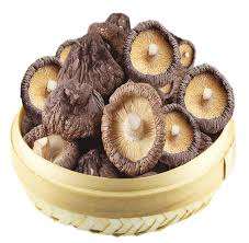 SEDA SHIITAKE MUSHROM DE VIETNAM-mejor precio-Alta calidad - Product Image 2