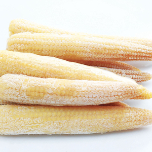 ขนุนแช่แข็ง-ข้าวโพดแช่แข็ง - Product Image 1