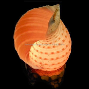 Lampe à sel himayen en en coquillage naturel, meilleur pour la décoration et le cadeau fabriqué avec du cristal Original - Product Image 5