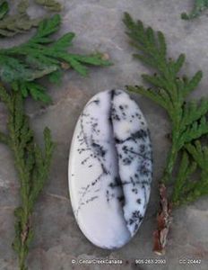 Tự nhiên dendrite <span class=keywords><strong>Opal</strong></span> trắng đá quý dendrite <span class=keywords><strong>Opal</strong></span> <span class=keywords><strong>Loose</strong></span> đá quý đối với trang sức làm <span class=keywords><strong>Loose</strong></span> Cabochon - Product Image 4