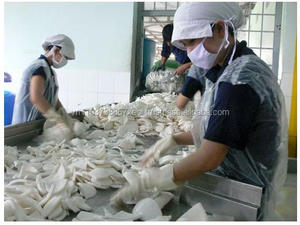 ไขมันต่ำมะพร้าว/มะพร้าวแห้งเวียดนาม/ที่มีคุณภาพสูงไขมันใน2020 - Product Image 5