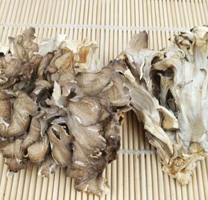 Champignon naturel séché en train de danser, Grifola poule des bois, champignons d'étagère pour la nourriture - Product Image 4