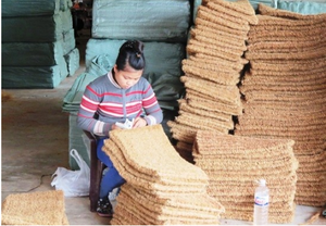 MEJOR PRECIO COCONUT COIR NET DE ALTA CALIDAD DE EXPORTACIÓN DE VIETNAM - Product Image 5